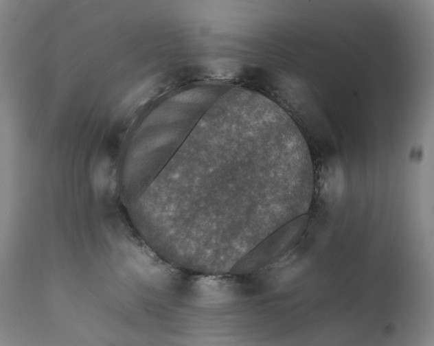 X0000111250568200907161409