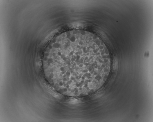 X0000111250569200907161409