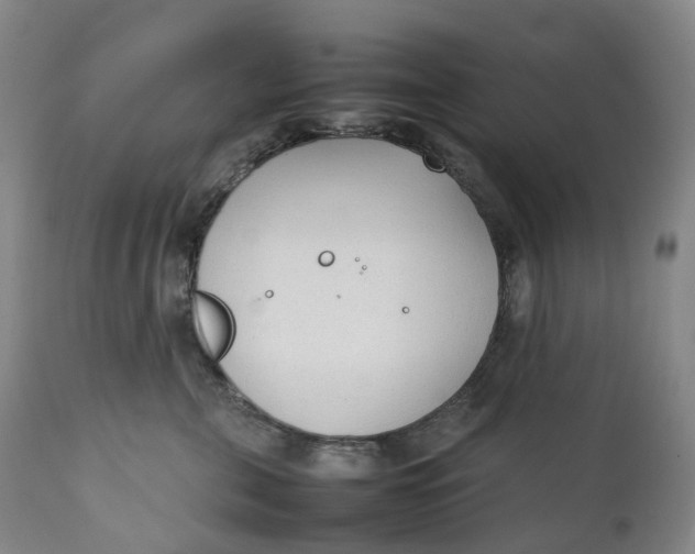 X0000111250571200907161409