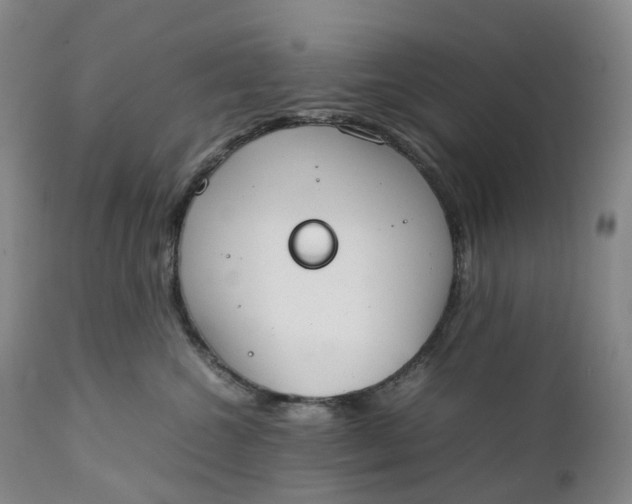 X0000111250572200907161409