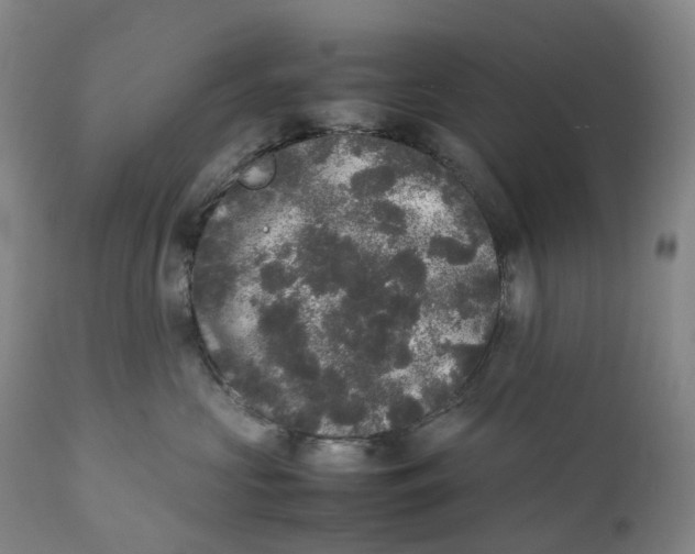 X0000111250573200907161409