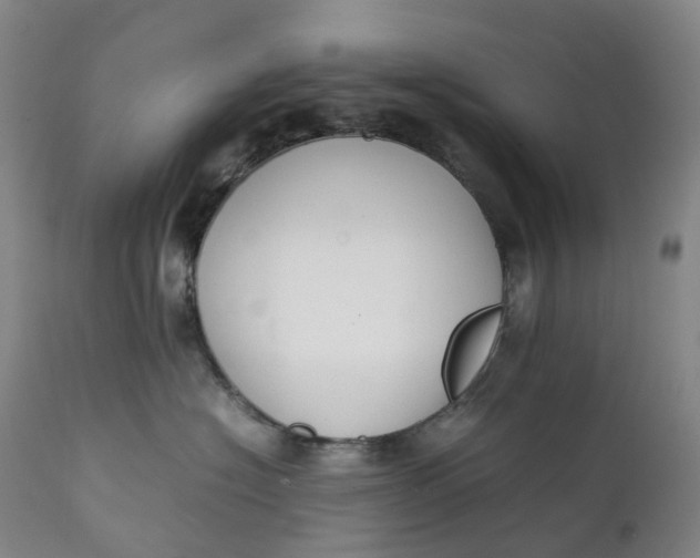 X0000111250574200907161409