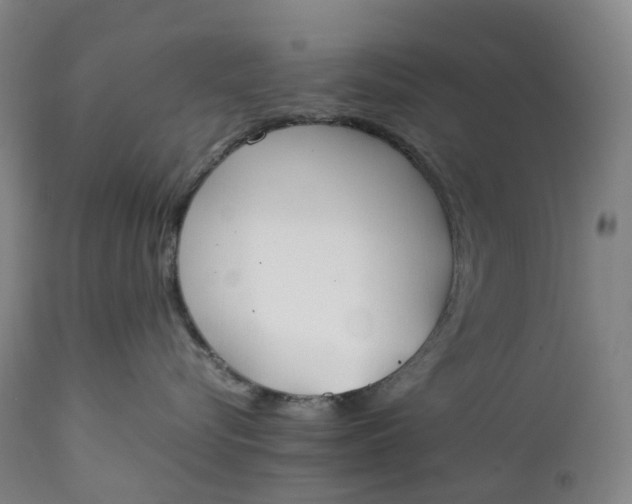 X0000111250576200907161409