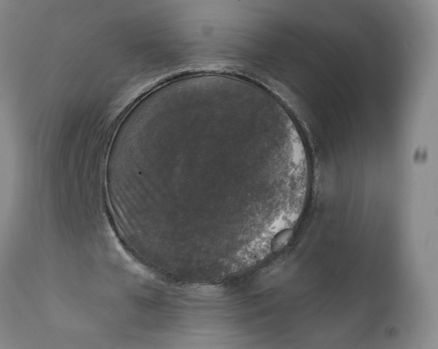 X0000111250577200907161408