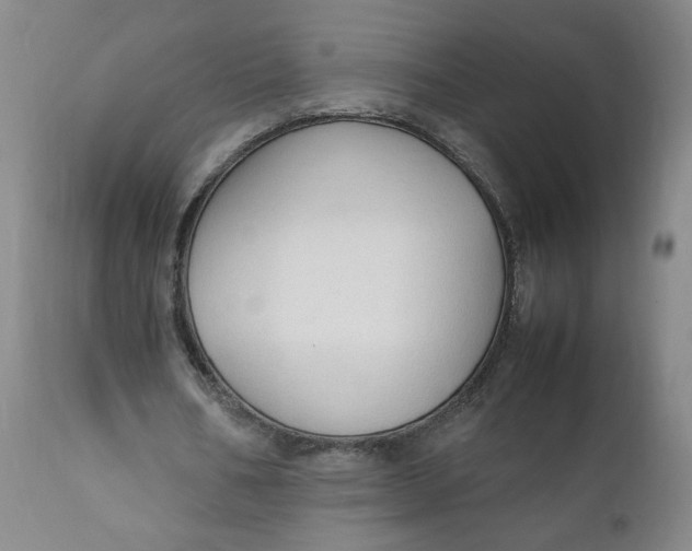 X0000111250578200907161408