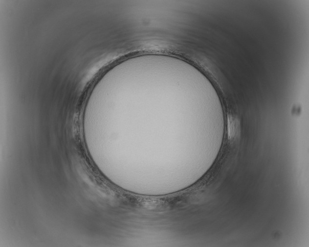 X0000111250579200907161408