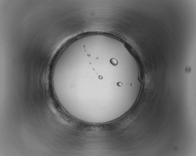 X0000111250580200907161408