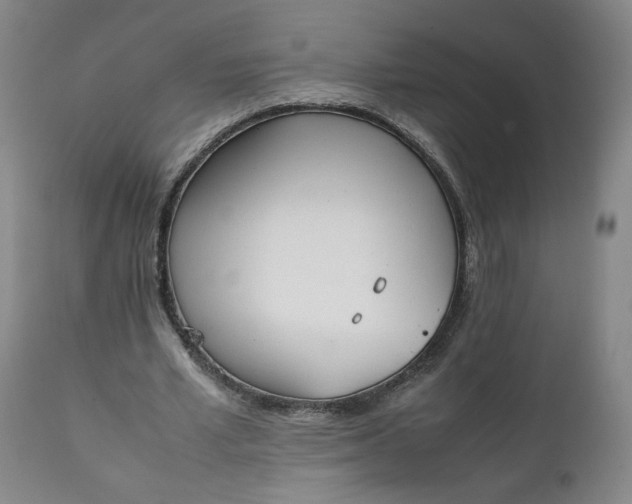 X0000111250581200907161408