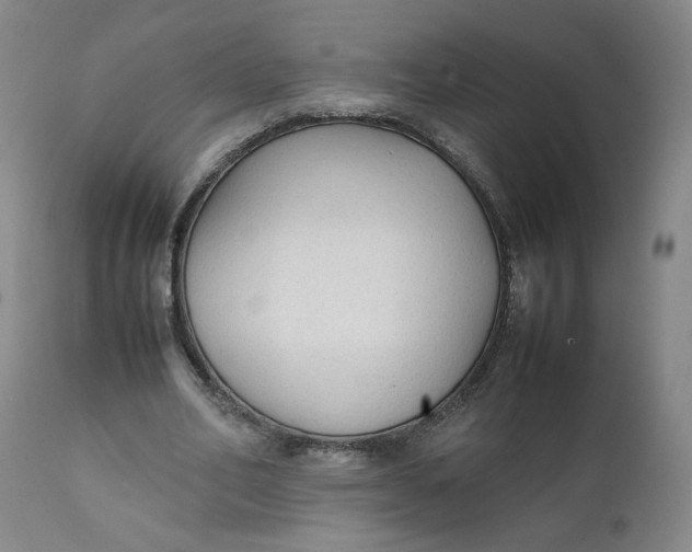 X0000111250582200907161408