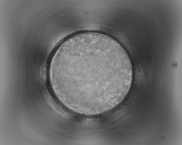 X0000111250584200907161408