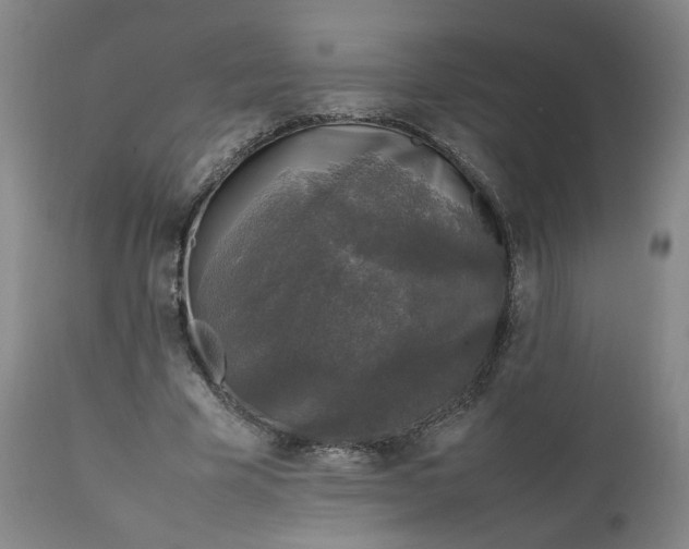 X0000111250585200907161408