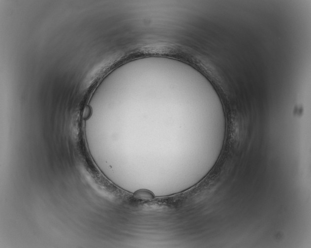 X0000111250586200907161408