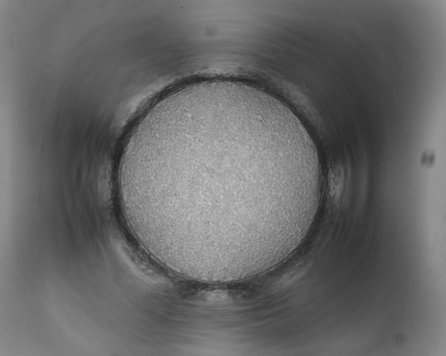 X0000111250588200907161408