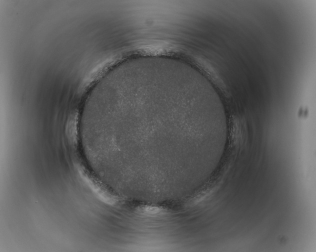 X0000111250590200907161408