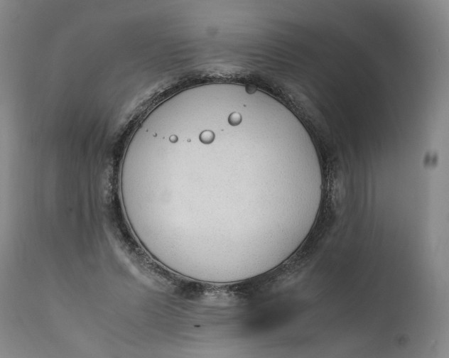 X0000111250591200907161408