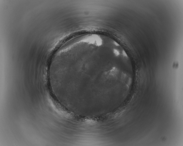 X0000111250592200907161408