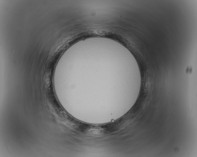 X0000111250595200907161408