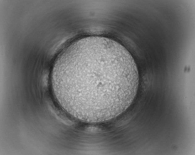 X0000111250596200907161408