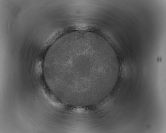 X0000111250598200907161408