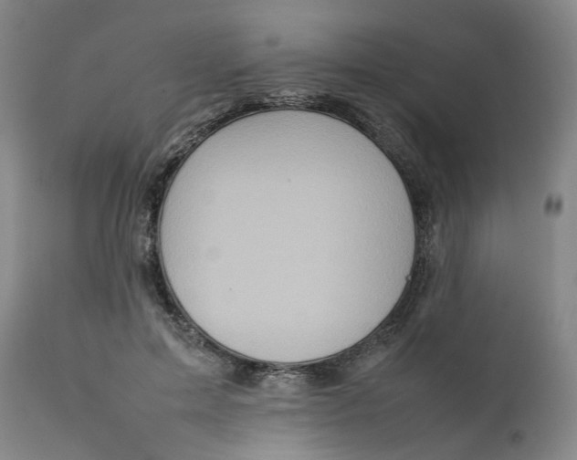 X0000111250599200907161408