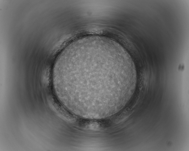 X0000111250600200907161408