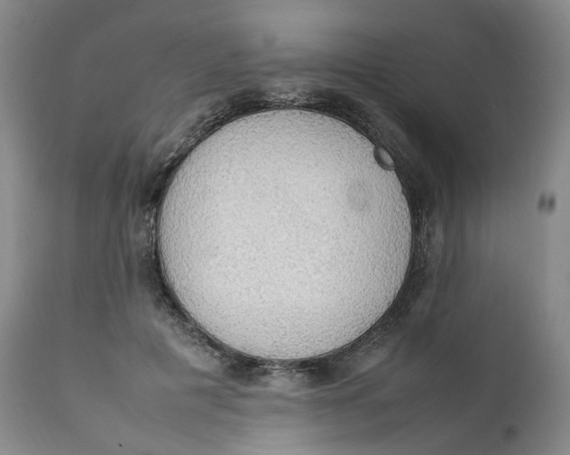 X0000111250601200907161408