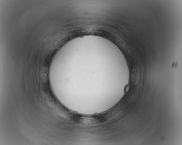 X0000111250605200907161408