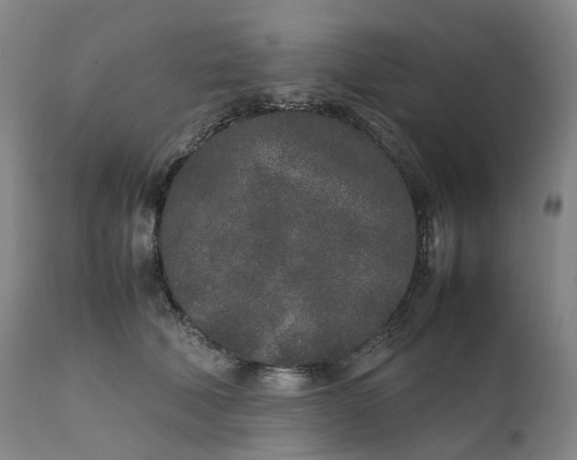 X0000111250610200907161407