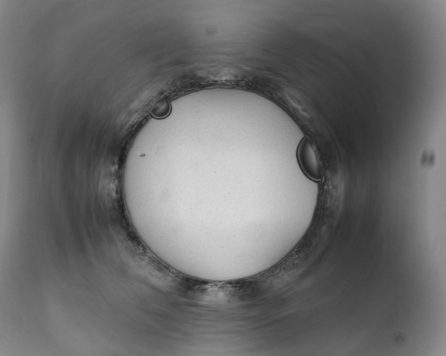 X0000111250612200907161407