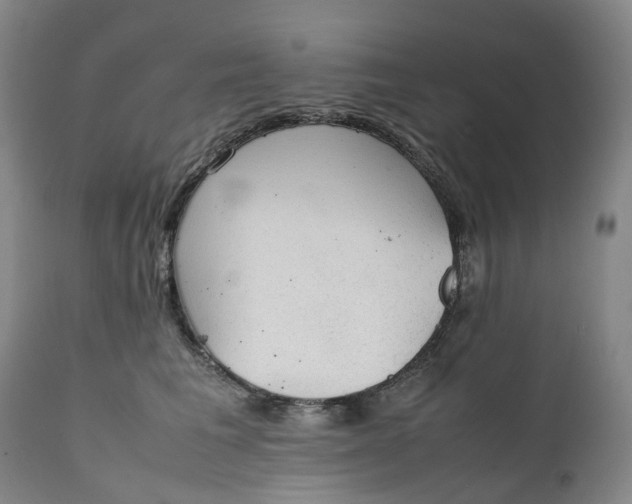 X0000111250613200907161407