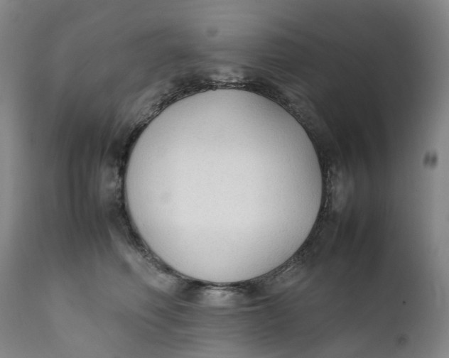 X0000111250614200907161407