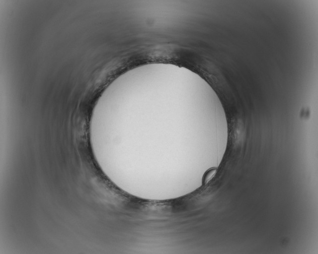 X0000111250619200907161407