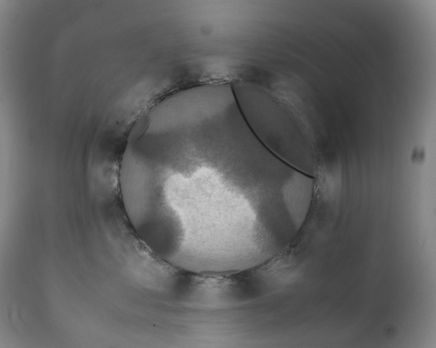 X0000111250621200907161407