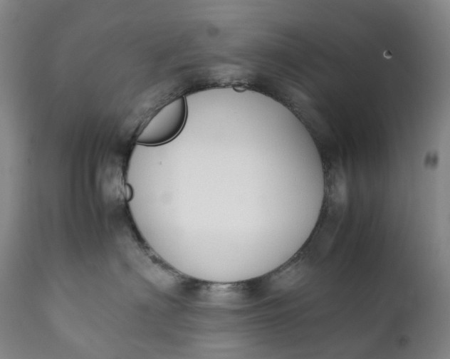 X0000111250622200907161407