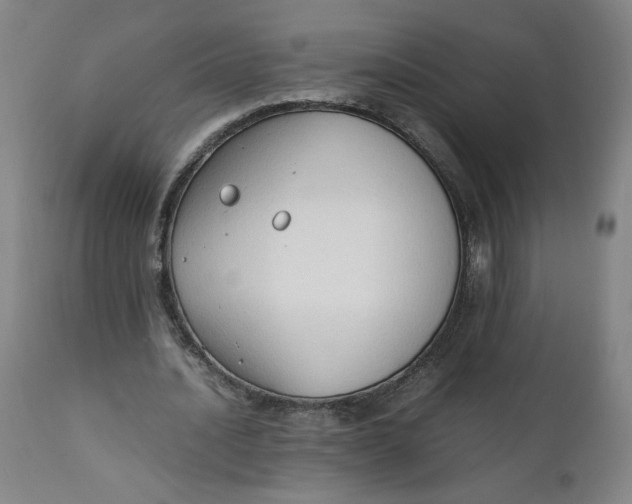 X0000111250628200907161407