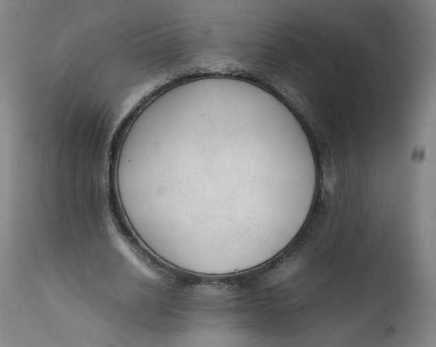 X0000111250630200907161407