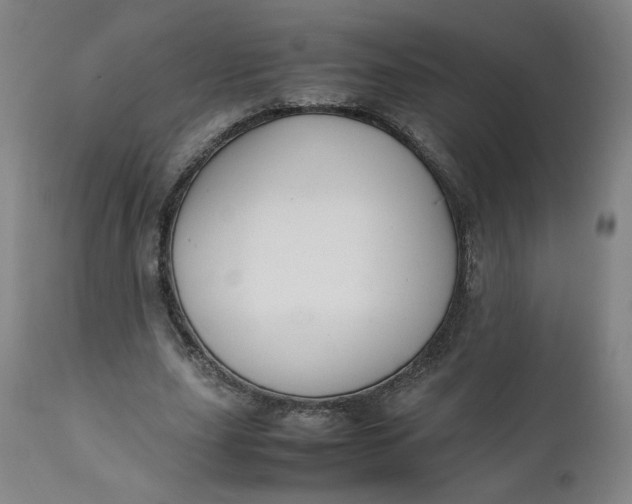 X0000111250631200907161407