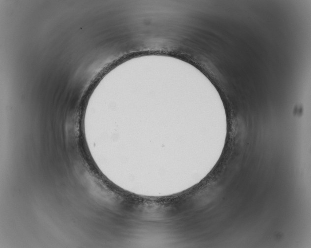 X0000111250632200907161407