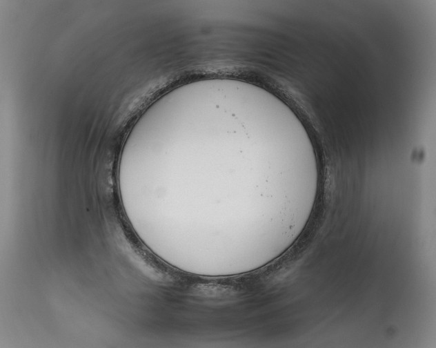 X0000111250633200907161407