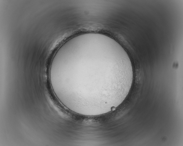 X0000111250634200907161407