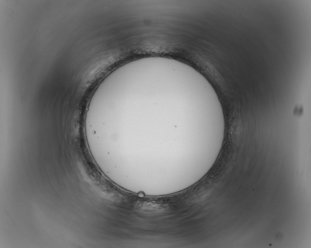 X0000111250635200907161407