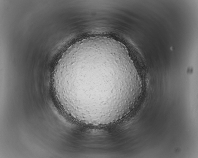 X0000111250637200907161407