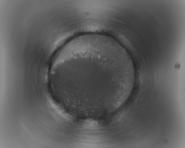 X0000111250640200907161407