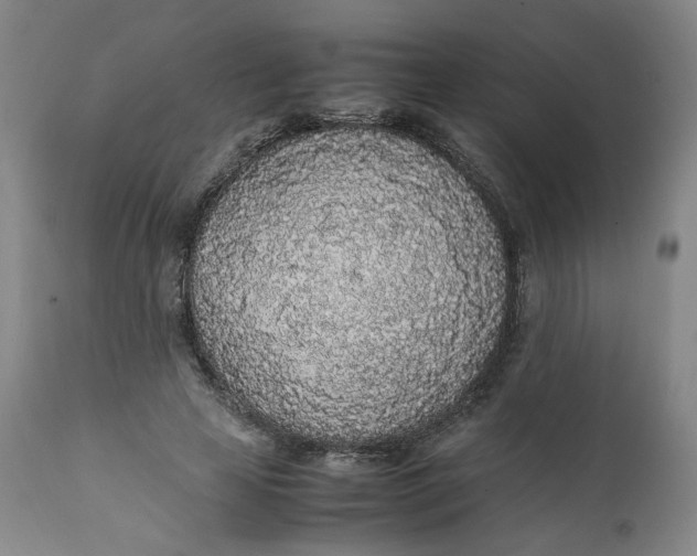 X0000111250641200907161407