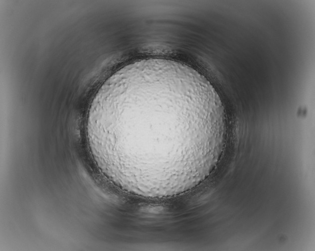 X0000111250643200907161407