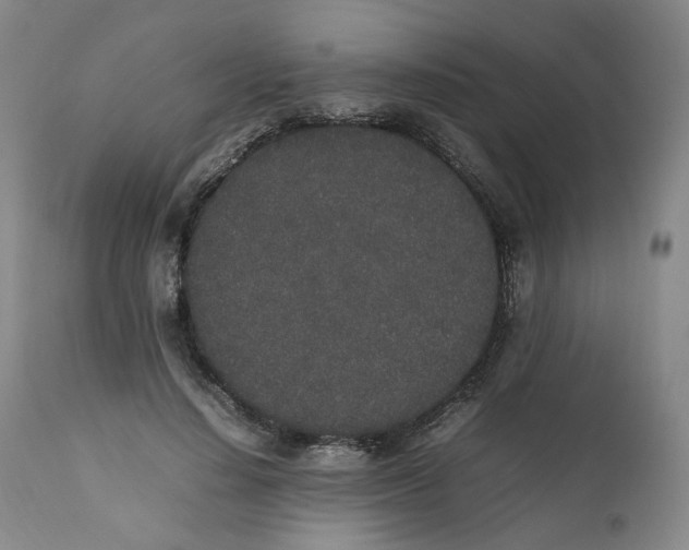 X0000111250644200907161407