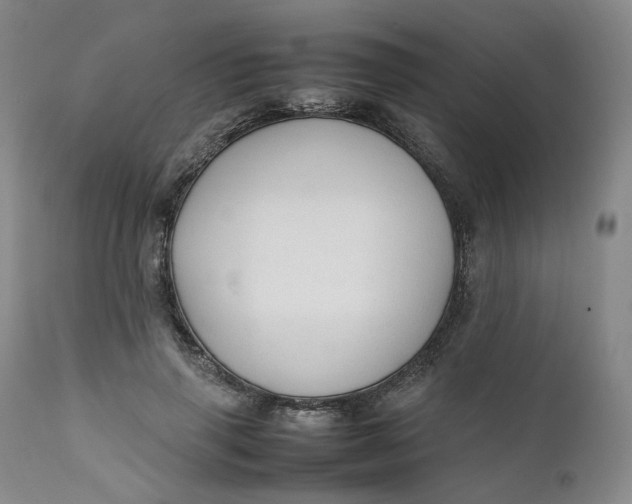 X0000111250645200907161407