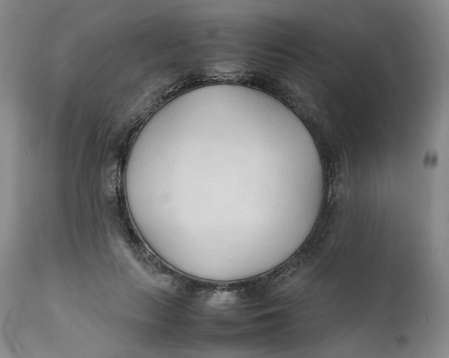 X0000111250647200907161407