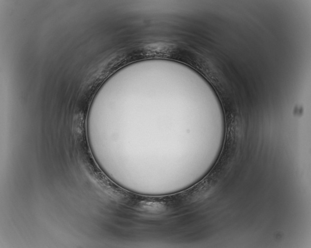 X0000111250649200907161407