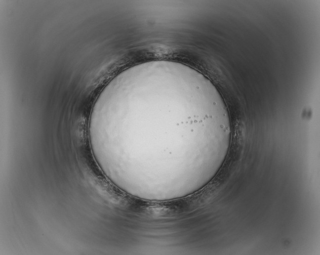 X0000111250650200907161407